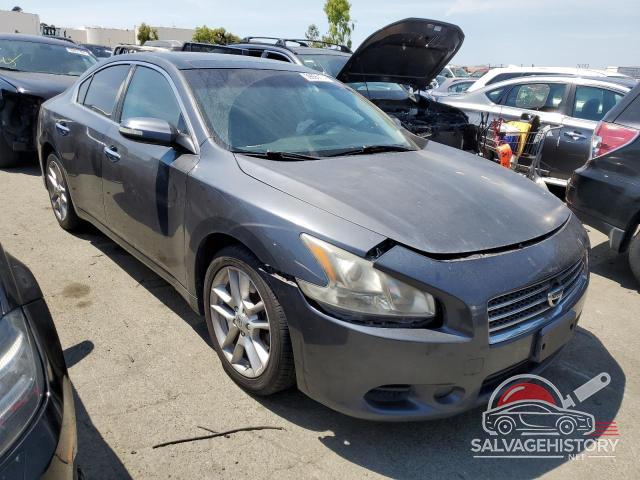 1N4AA51E19C812773 2009 NISSAN MAXIMA photo no. 4
