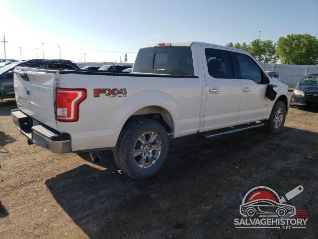 1FTFW1EG8HKD94433 2017 FORD F-150 photo no. 3