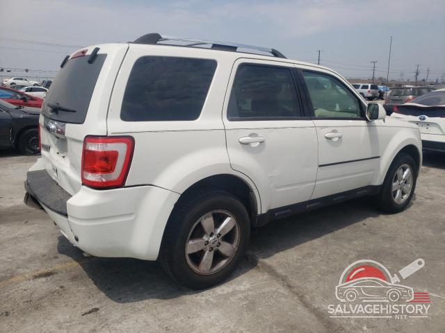 1FMCU0E77AKD27407 2010 FORD ESCAPE photo no. 3