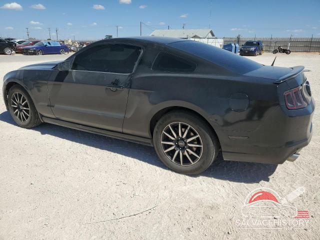 1ZVBP8AM8D5226846 2013 FORD ALL Models photo no. 2