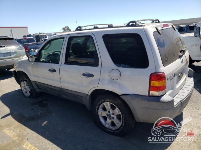 1FMYU03Z17KB80293 2007 FORD ESCAPE photo no. 2