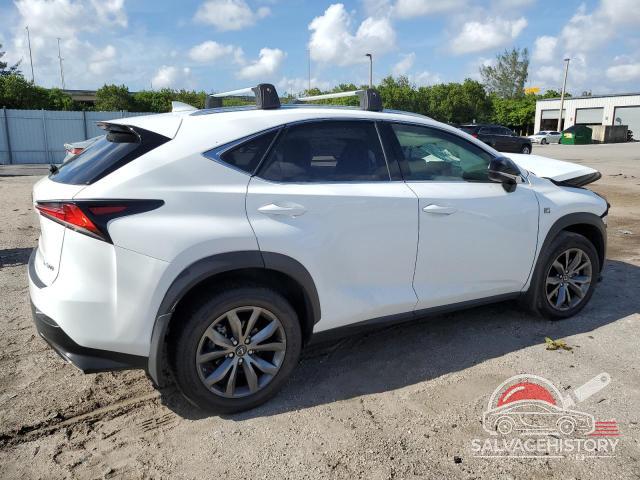 JTJSARBZ0M2194722 2021 LEXUS NX photo no. 3