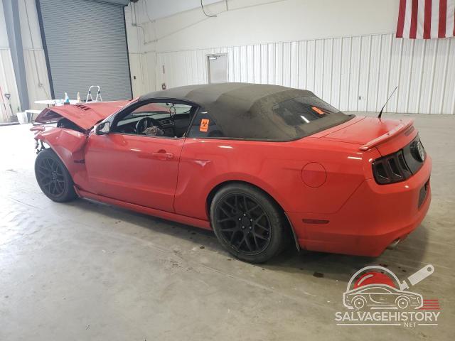 1ZVBP8FF1D5272495 2013 FORD MUSTANG photo no. 2