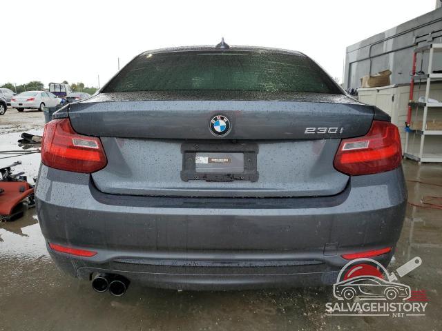 WBA2F9C31HV983929 2017 BMW 2 SERIES photo no. 6