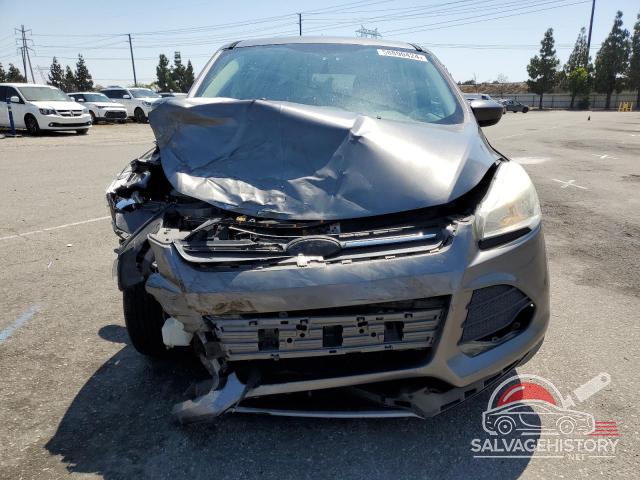 1FMCU0GX2EUE13649 2014 FORD ESCAPE photo no. 5