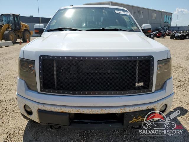 1FTFW1ET5CFB66906 2012 FORD F-150 photo no. 5