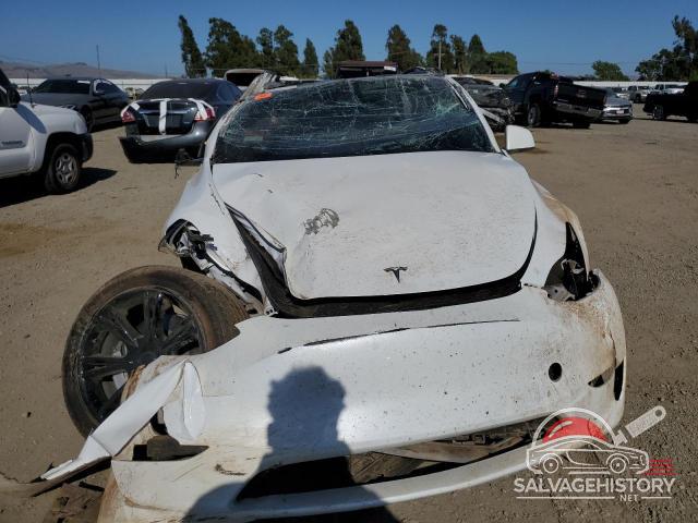 7SAYGDEE2PF922956 2023 TESLA MODEL Y photo no. 5