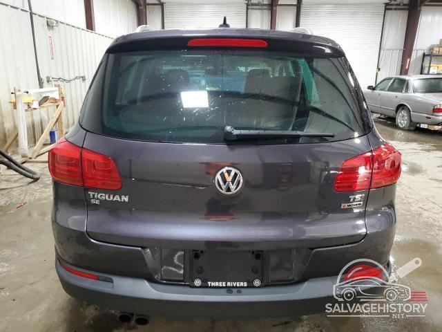WVGBV7AX9GW520005 2016 VOLKSWAGEN TIGUAN photo no. 6