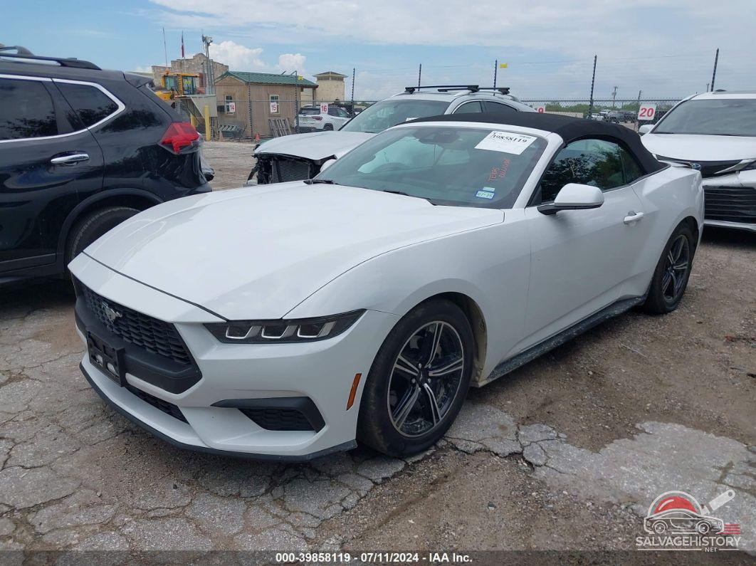 1FAGP8UH6R5105978 2024 FORD MUSTANG photo no. 2