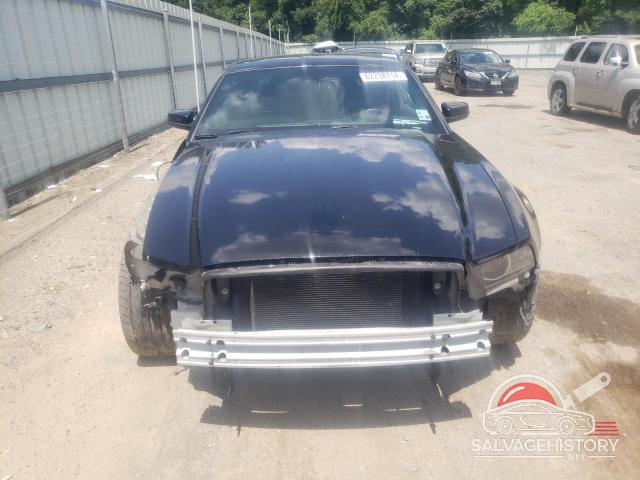 1ZVBP8AM1E5289465 2014 FORD ALL Models photo no. 5