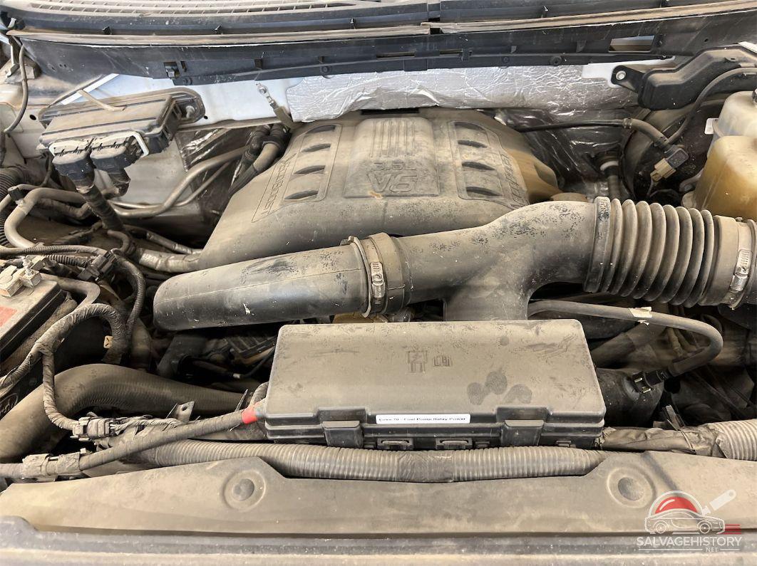 1FTFW1ET2DKF00088 2013 FORD F-150 photo no. 8
