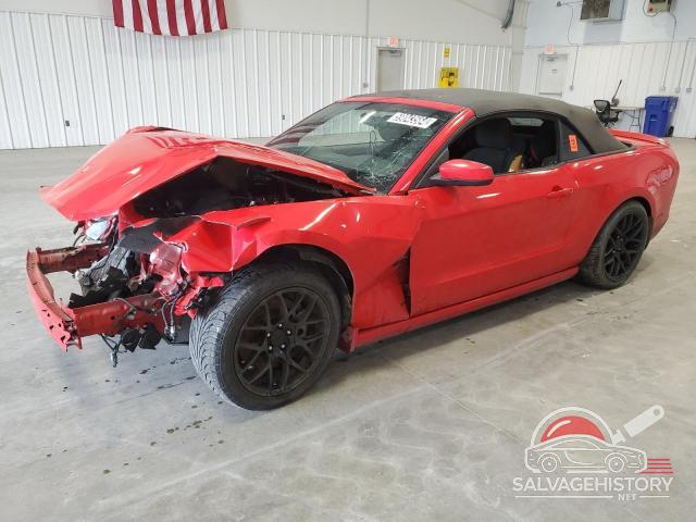 1ZVBP8FF1D5272495 2013 FORD MUSTANG photo no. 10