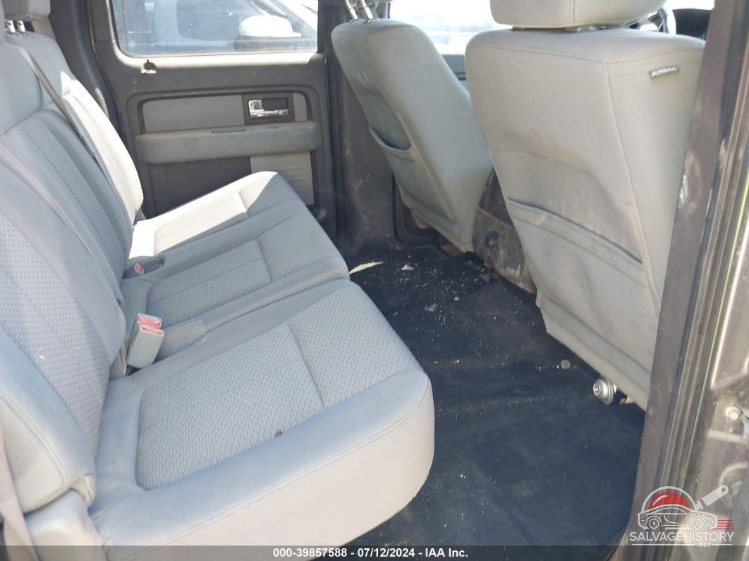 1FTFW1CT9DKD05981 2013 FORD F-150 photo no. 8