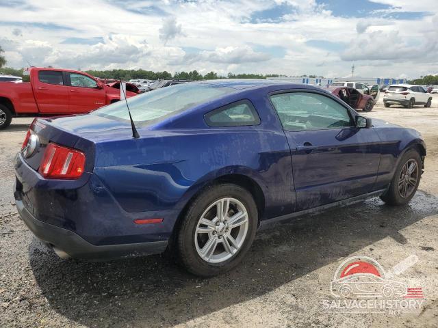 1ZVBP8AM7B5164448 2011 FORD ALL Models photo no. 3
