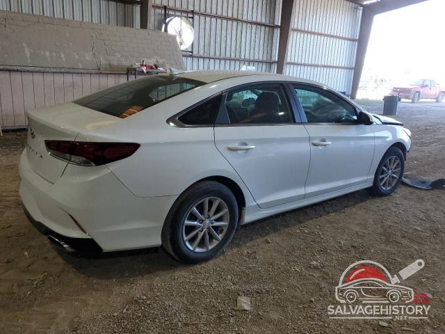 5NPE24AF7KH776075 2019 HYUNDAI SONATA photo no. 3