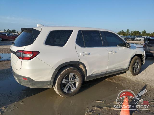 5FNYG2H41PB008086 2023 HONDA PILOT photo no. 3