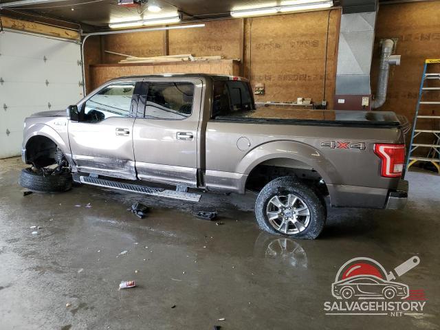 1FTFW1EF1FFB67615 2015 FORD F-150 photo no. 2