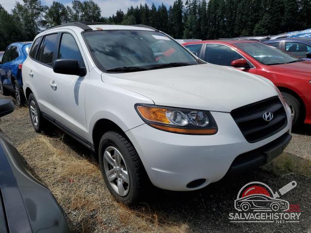 5NMSG13D29H318871 2009 HYUNDAI SANTA FE photo no. 4