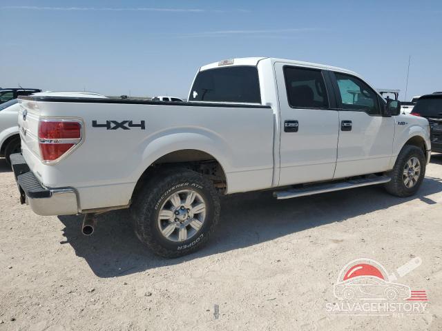 1FTFW1EF3BFD38911 2011 FORD F-150 photo no. 3