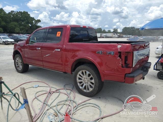 1FTEW1C87FFC86589 2015 FORD F-150 photo no. 2