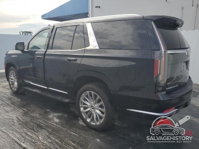 1GYS4BKL1PR366646 2023 CADILLAC ESCALADE photo no. 2