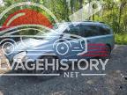 KNDMB233196318913 2009 KIA SEDONA EX photo no. 1