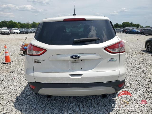 1FMCU0GX3EUD42834 2014 FORD ESCAPE photo no. 6