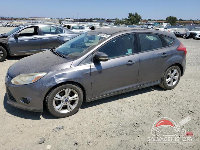 1FADP3K26DL292406 2013 FORD FOCUS photo no. 7