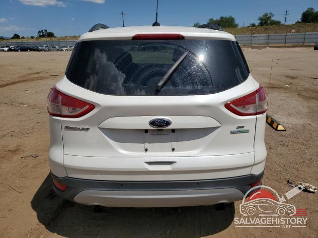 1FMCU0GX8EUC68536 2014 FORD ESCAPE photo no. 6
