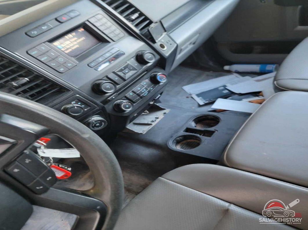 1FTEW1E59JKF17124 2018 FORD F150 photo no. 10