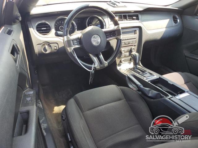 1ZVBP8EM3E5322363 2014 FORD ALL Models photo no. 8