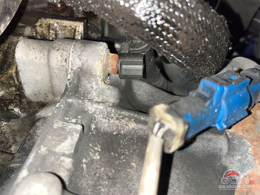 3FAHP01149R125320 2009 FORD FUSION photo no. 2