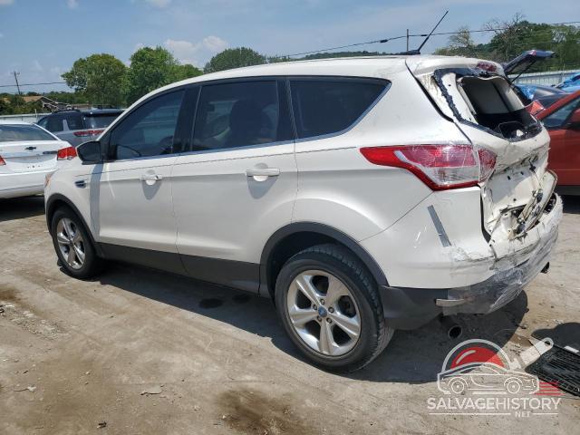 1FMCU0GX6DUD09048 2013 FORD ESCAPE photo no. 2