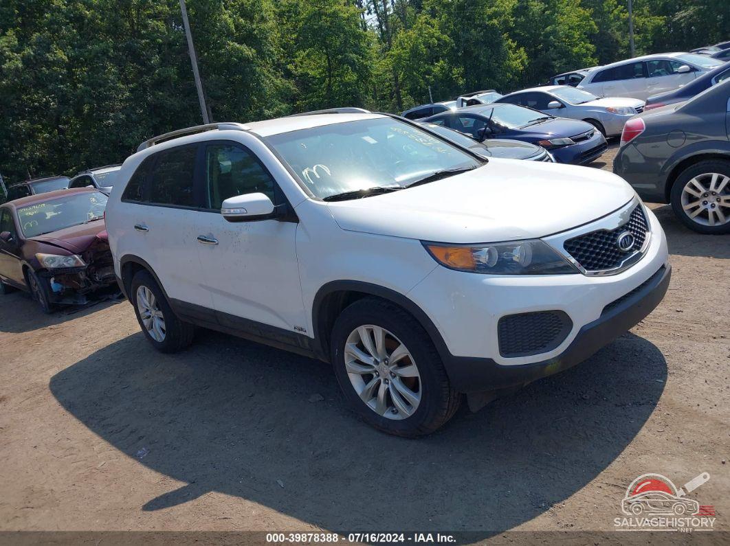5XYKTDA20BG061207 2011 KIA SORENTO photo no. 13