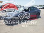 5YJ3E1EA4PF613532 2023 TESLA MODEL 3 photo no. 6