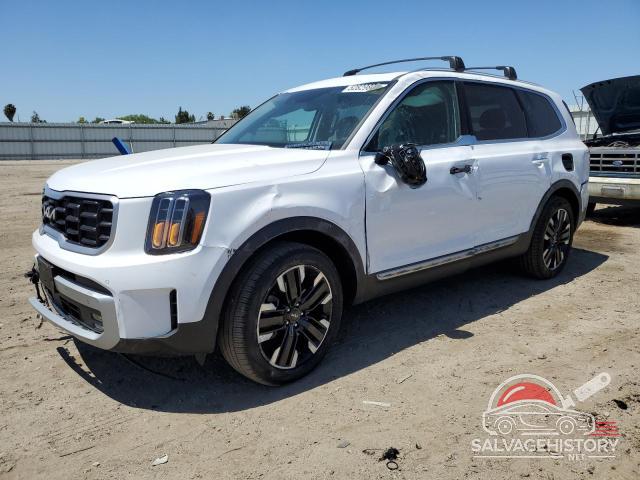 5XYP54GC6RG464747 2024 KIA TELLURIDE photo no. 13