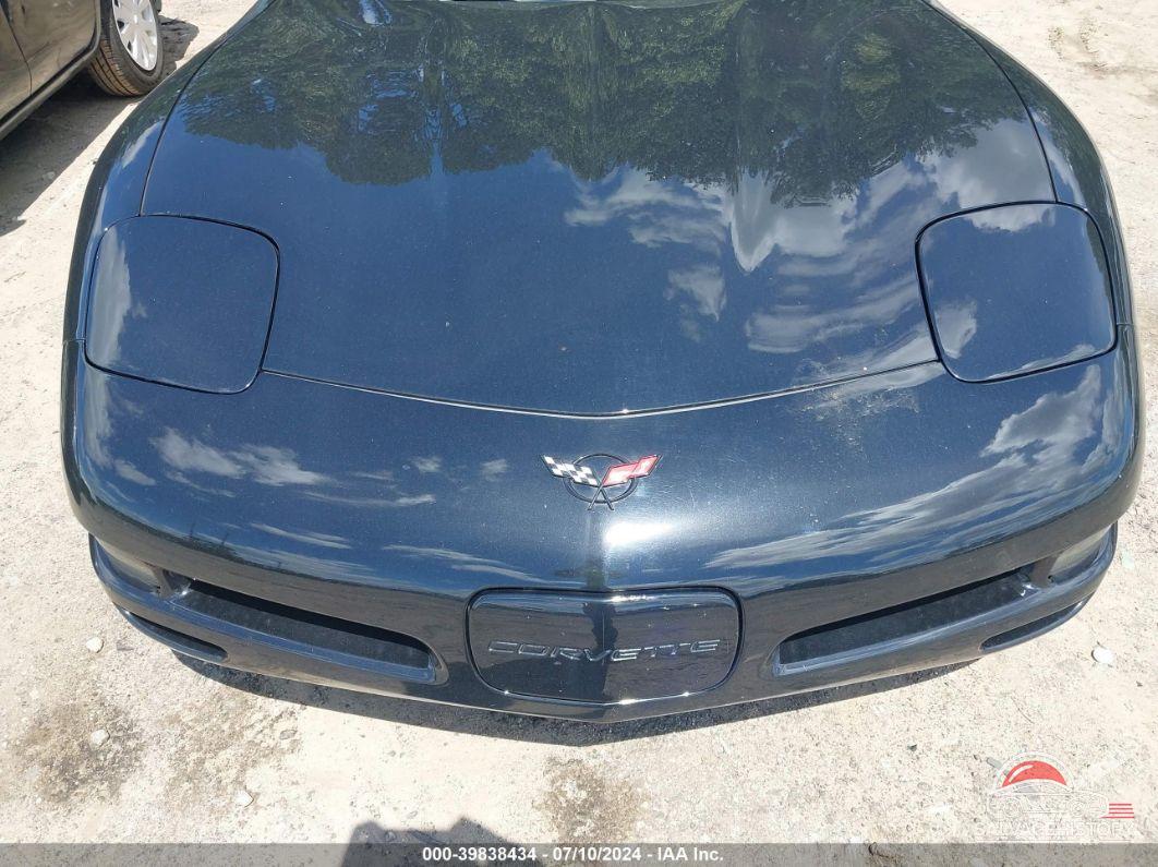 1G1YY32G625106720 2002 CHEVROLET CORVETTE photo no. 6