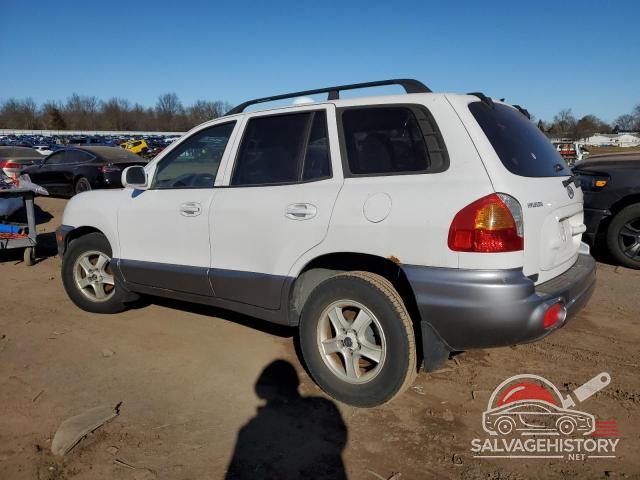 KM8SC13D93U411202 2003 HYUNDAI SANTA FE photo no. 2