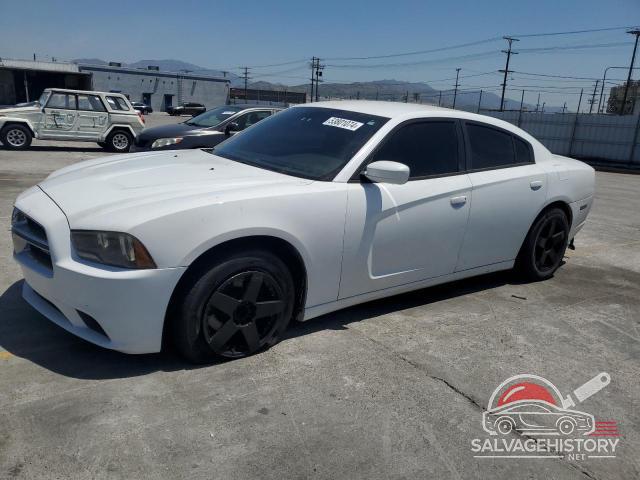 2C3CDXBG7DH636859 2013 DODGE CHARGER photo no. 7