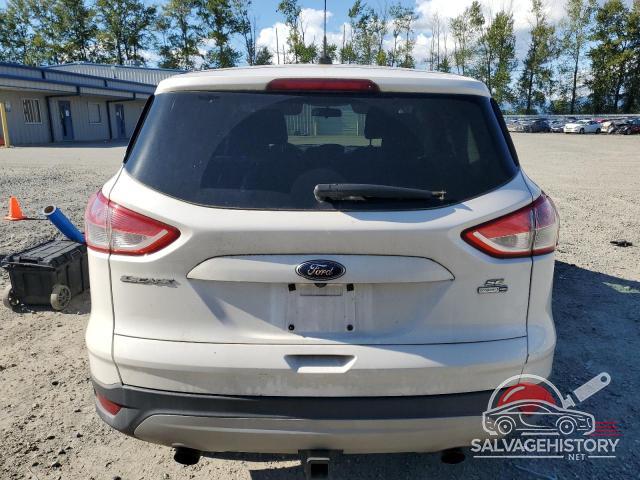 1FMCU9G96EUE14325 2014 FORD ESCAPE photo no. 6
