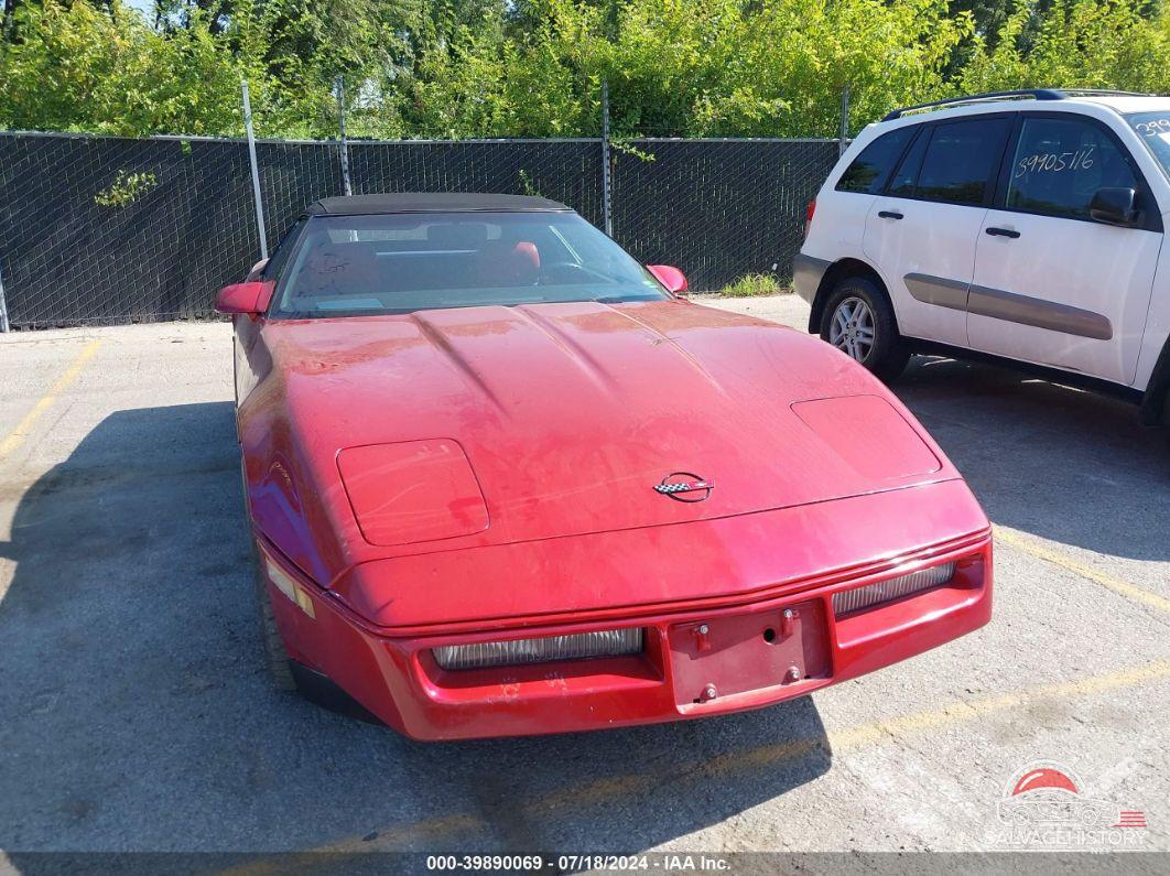 1G1YY3184K5102398 1989 CHEVROLET CORVETTE photo no. 6