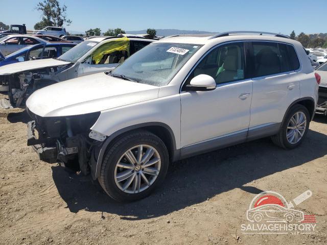 WVGAV3AX5DW083782 2013 VOLKSWAGEN TIGUAN photo no. 13