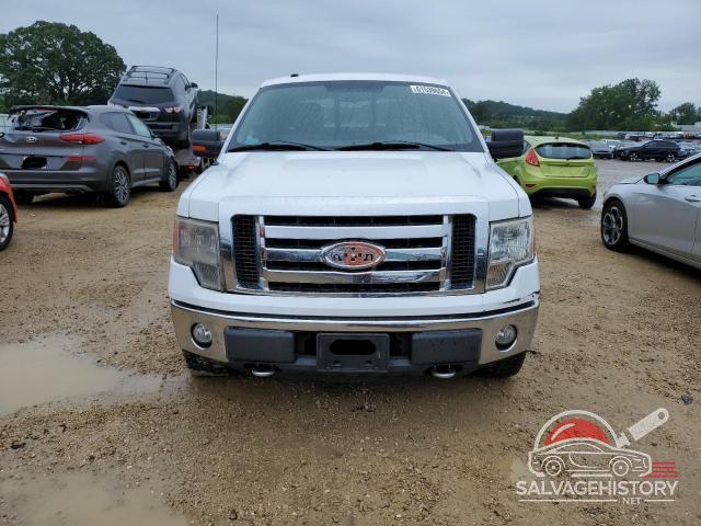 1FTFW1EV2AFD30806 2010 FORD F-150 photo no. 5