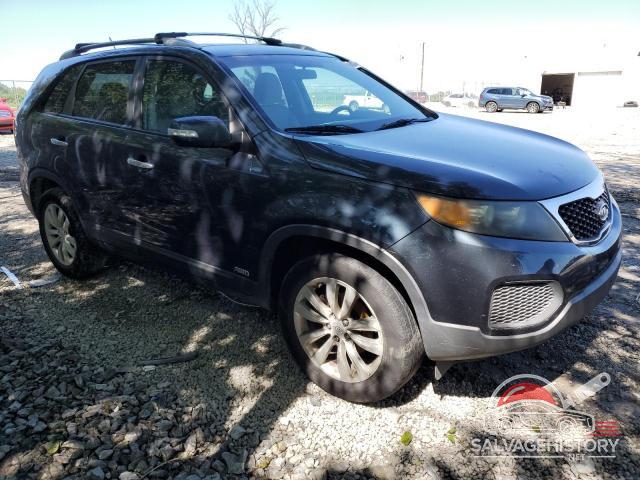 5XYKTDA25BG087981 2011 KIA SORENTO photo no. 4