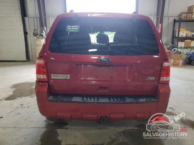 1FMCU9DG8BKA61094 2011 FORD ESCAPE photo no. 6