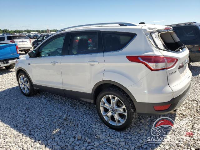 1FMCU9J92EUC78641 2014 FORD ESCAPE photo no. 2