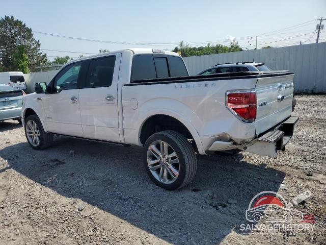1FTFW1ET1EFA57569 2014 FORD F-150 photo no. 2