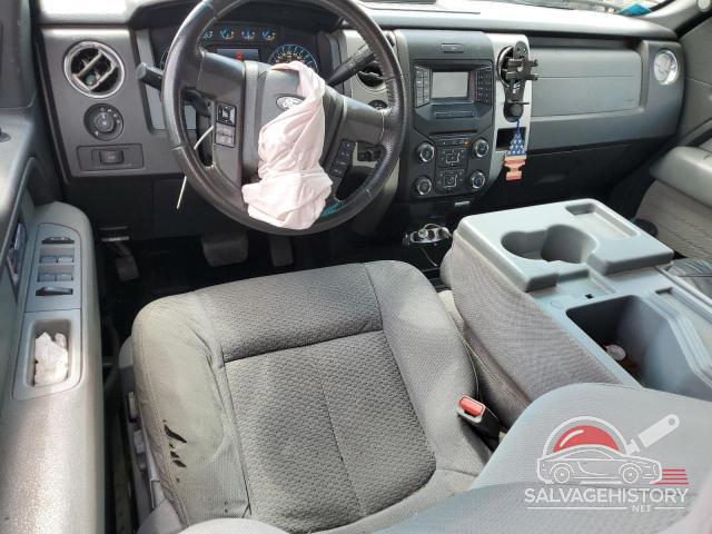 1FTFX1EF2DKG37653 2013 FORD F-150 photo no. 8